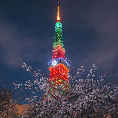 グッチがお花見から着想を得たイベントを開催、東京タワーをグ